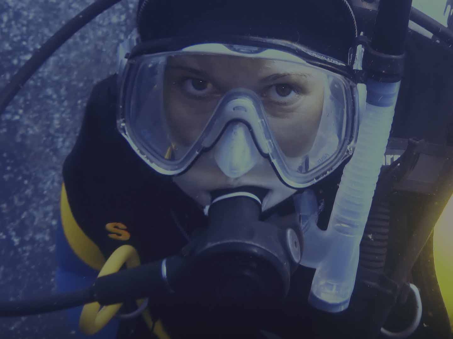 Diving Leuca